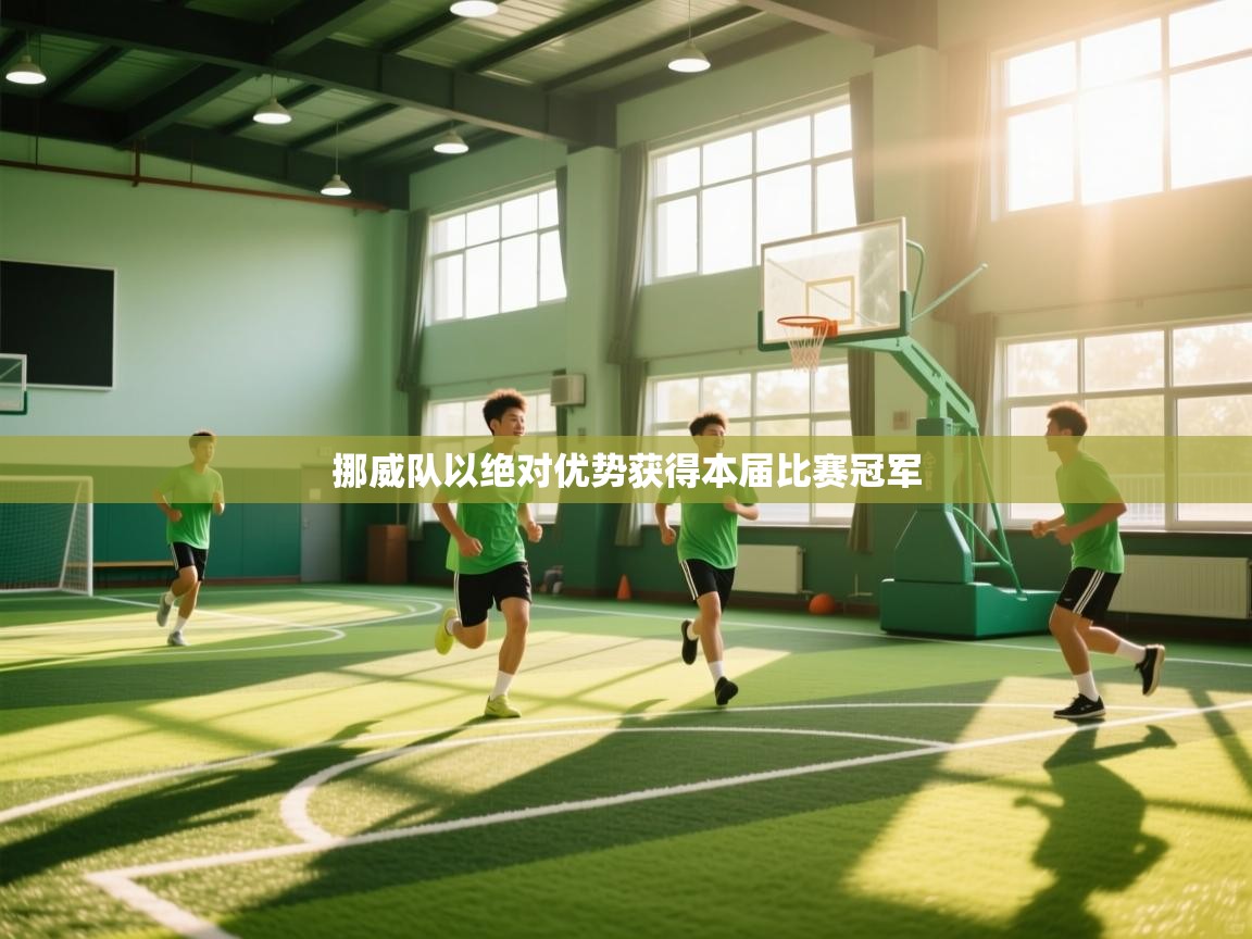 挪威队以绝对优势获得本届比赛冠军  第1张