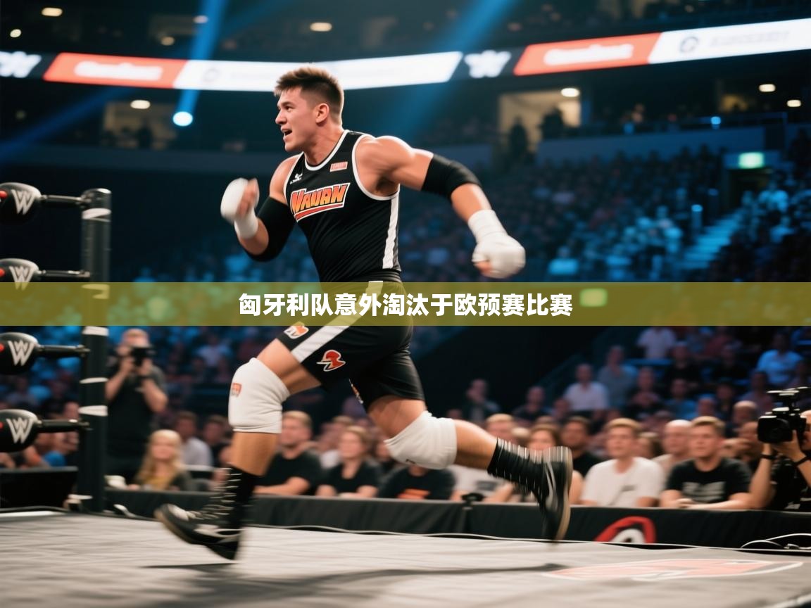 匈牙利队意外淘汰于欧预赛比赛