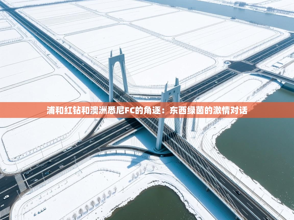 浦和红钻和澳洲悉尼FC的角逐：东西绿茵的激情对话  第1张