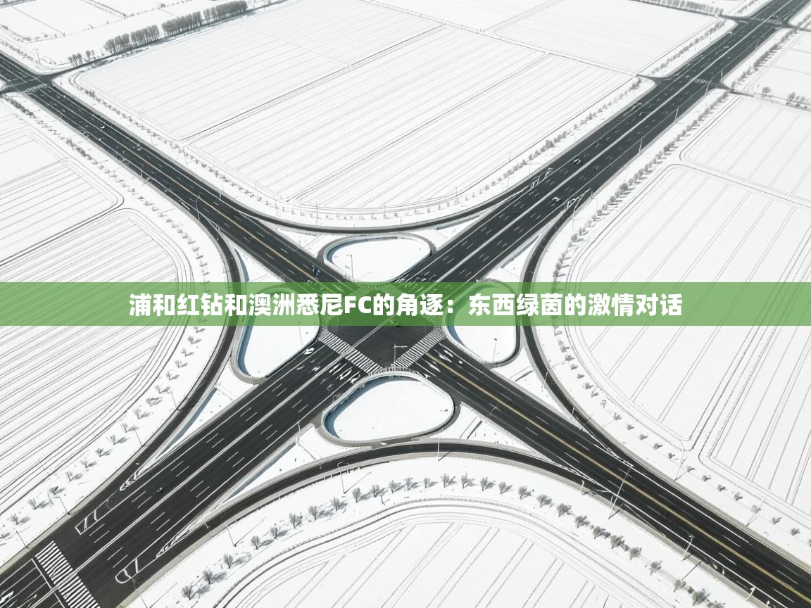 浦和红钻和澳洲悉尼FC的角逐：东西绿茵的激情对话  第2张