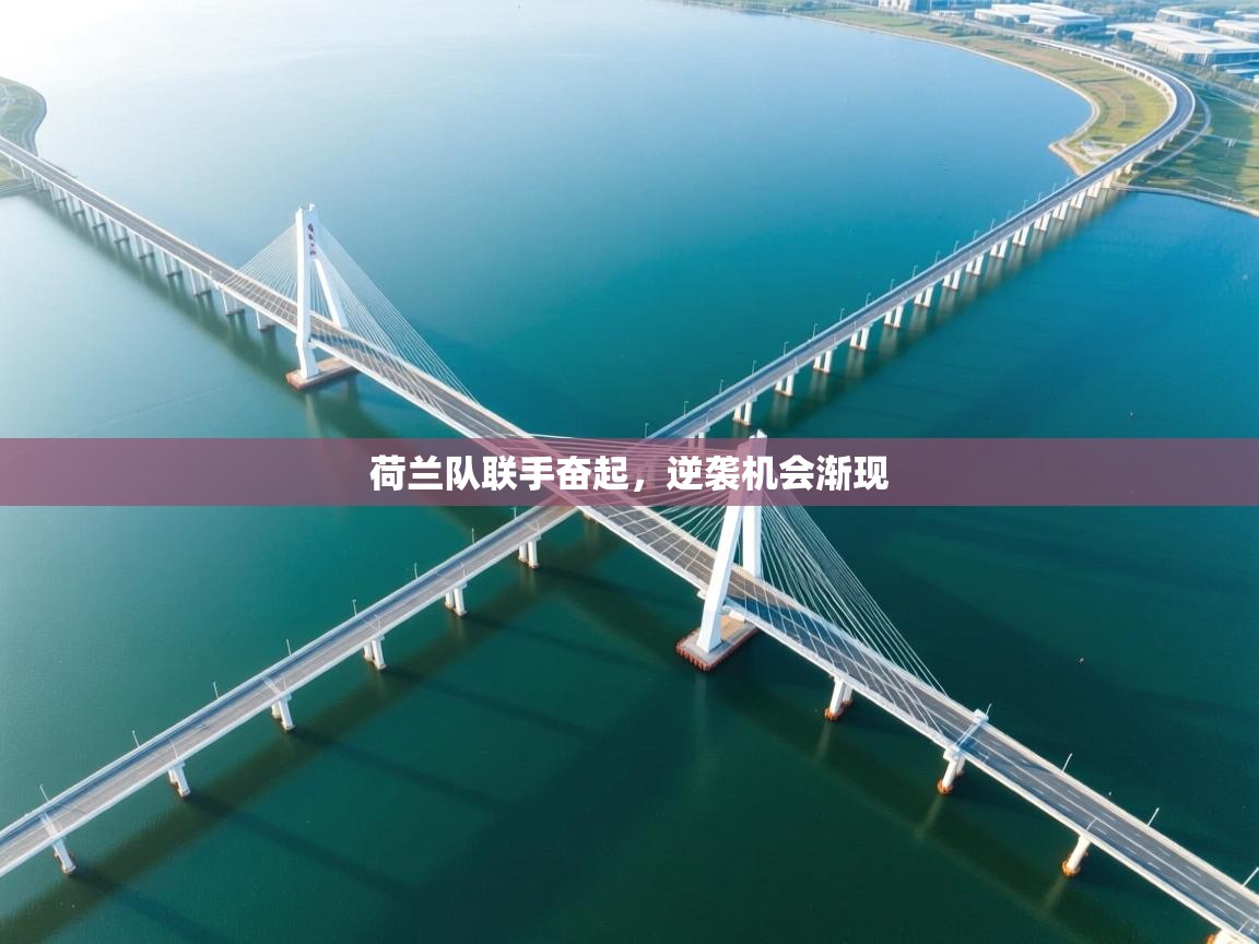 荷兰队联手奋起,逆袭机会渐现 第1张