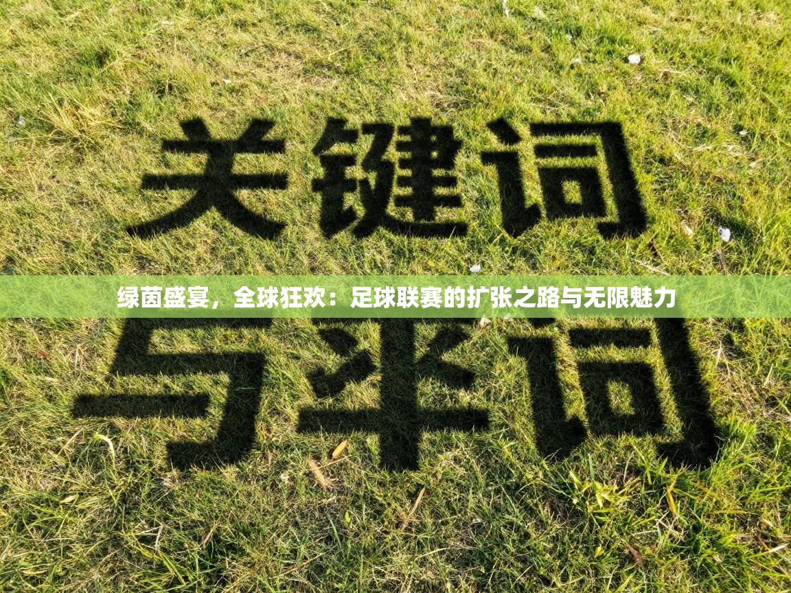 绿茵盛宴，全球狂欢：足球联赛的扩张之路与无限魅力