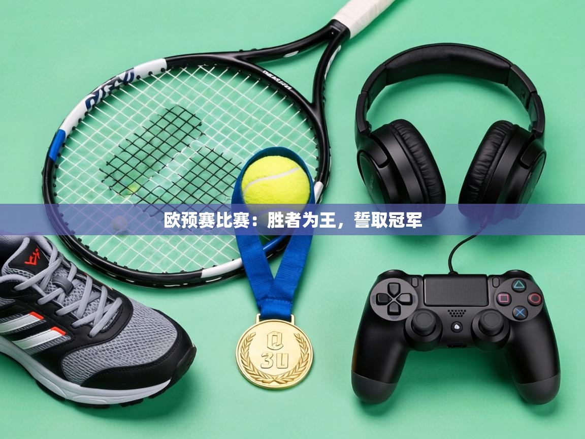 欧预赛比赛：胜者为王，誓取冠军  第2张